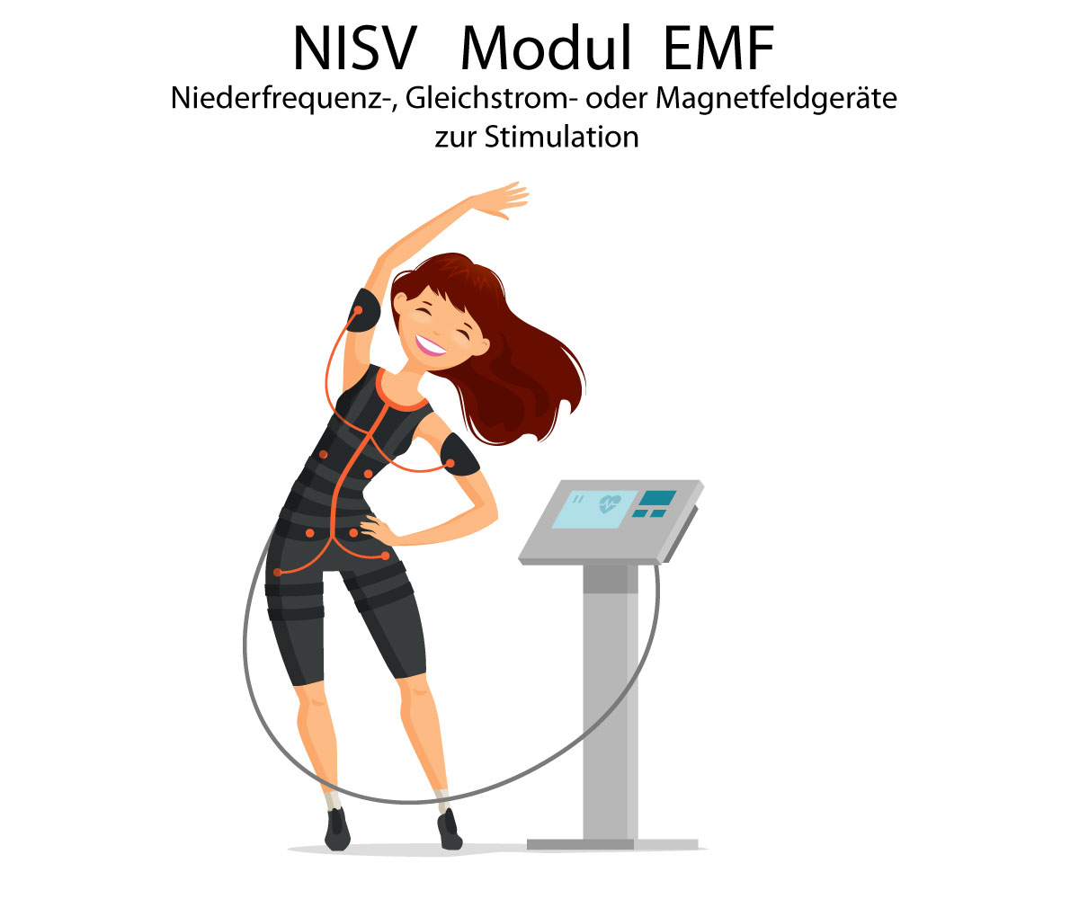 Grafik zum NiSV-Modul EMF Niederfrequenz und Stimulation