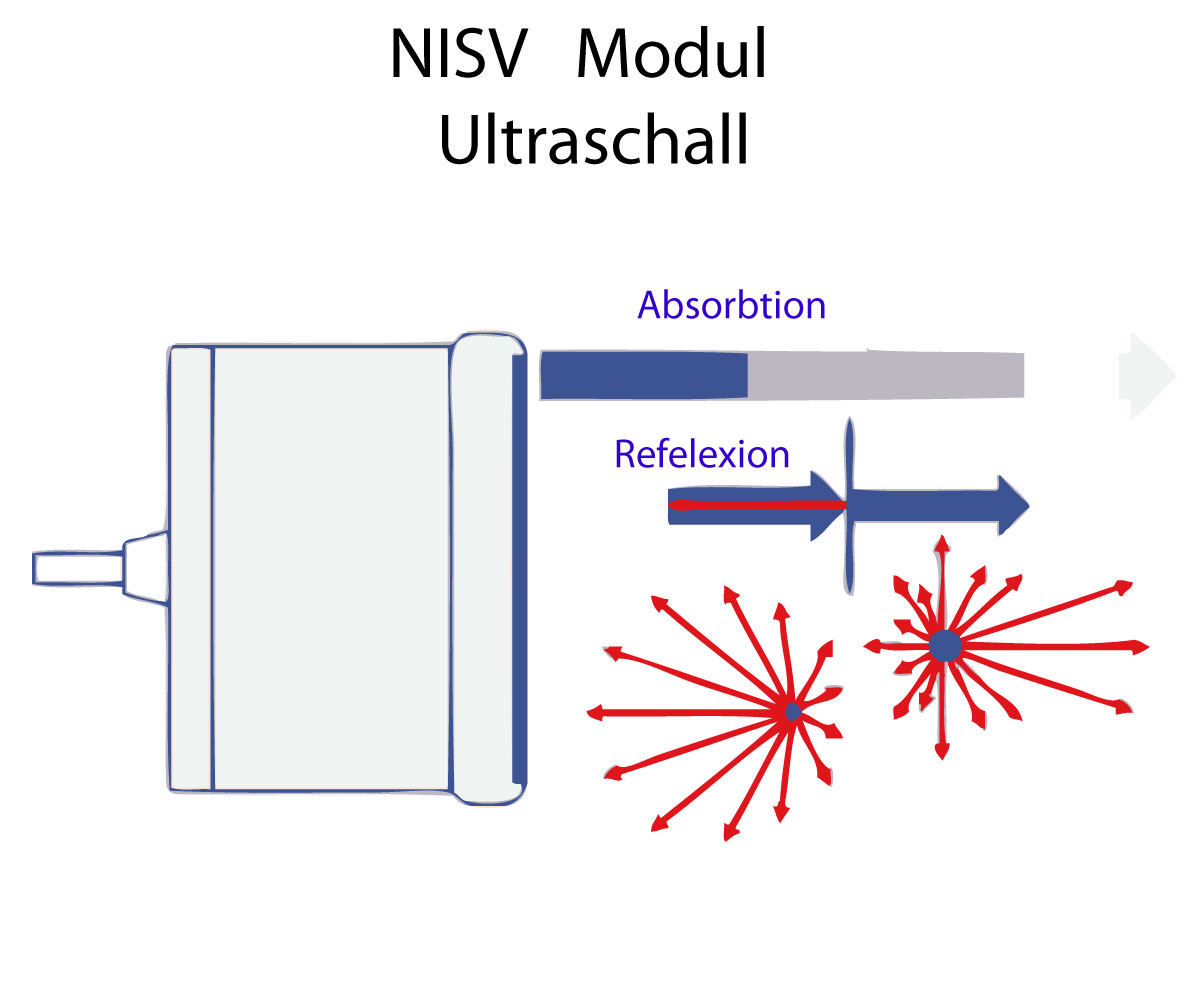 Grafik zum NiSV-Modul Ultraschall